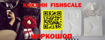 Альфа ПВП Гатчина