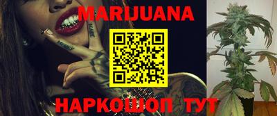 Альфа ПВП Гатчина