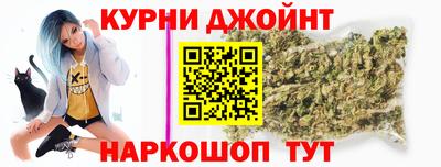 Альфа ПВП Гатчина