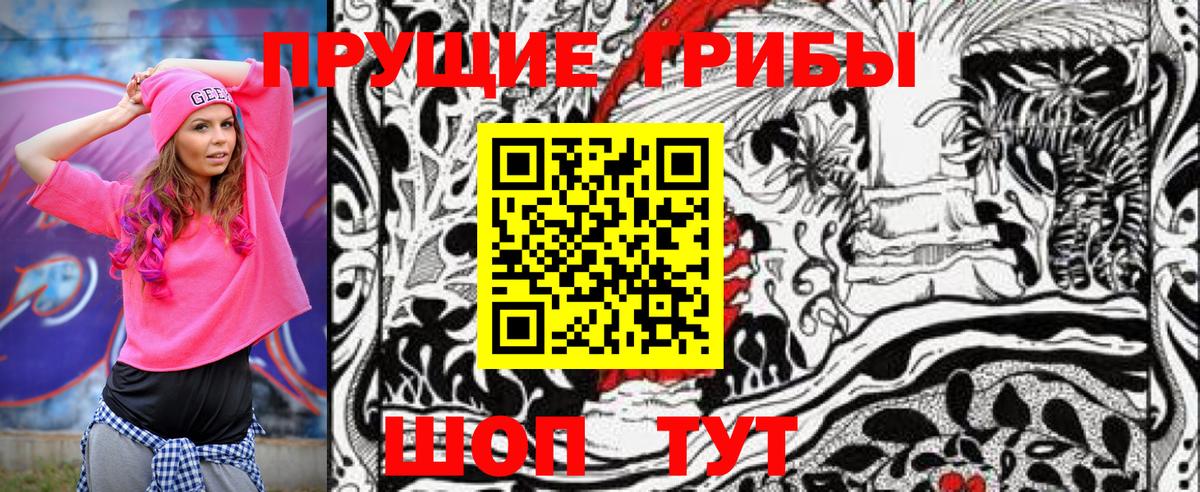 Тихорецк  Галлюциногенные грибы Cubensis  Вход с VPN 