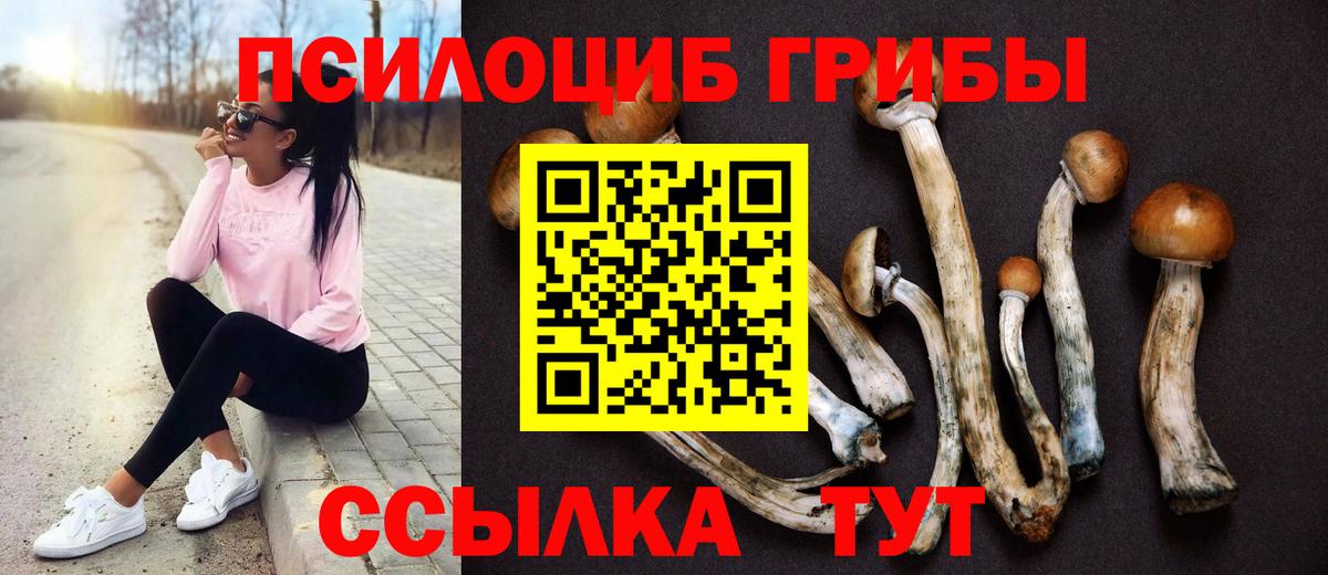 Псилоцибиновые грибы мицелий Тихорецк